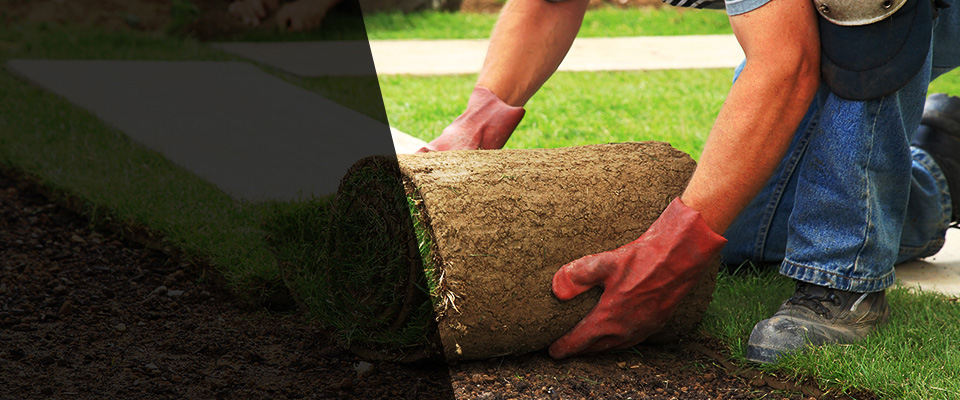 Brownwood Landscapers